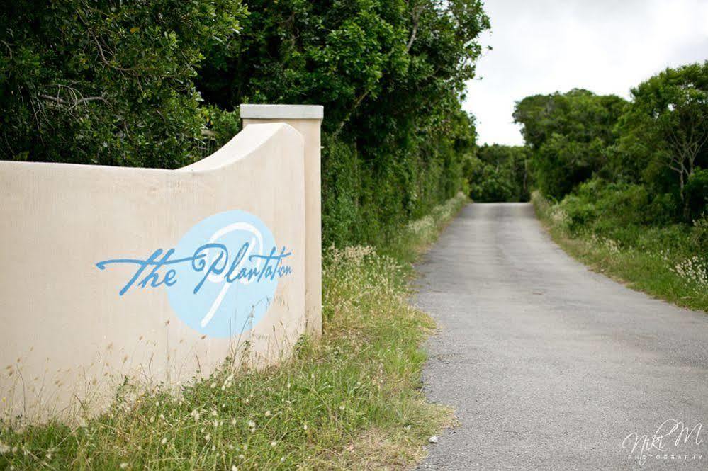 Bed and Breakfast The Plantation à Port Elizabeth Extérieur photo