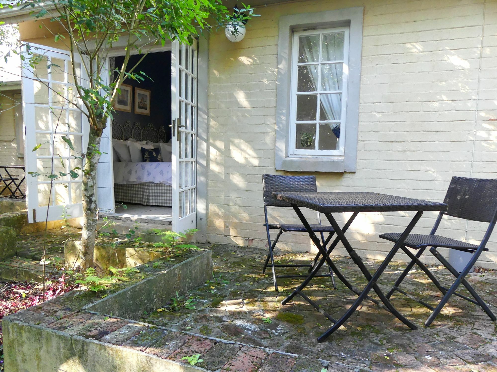Bed and Breakfast The Plantation à Port Elizabeth Extérieur photo
